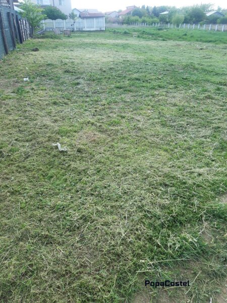 DN1 - Saftica teren intravilan 1183 mp, toate utilitatile